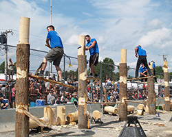Trade Shows- DYNA firewood processors