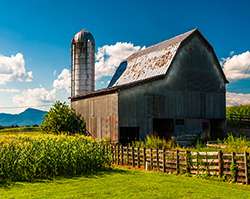 Virginia Farm Show